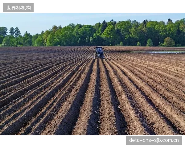 为满足临时大型活动而对草坪进行极限加热，这种“杀鸡取卵”式的运营模式是否可持续？